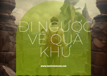 Kỹ Thuật Làm Bài Thi ACCA F6 – Đi Ngược Về Quá Khứ